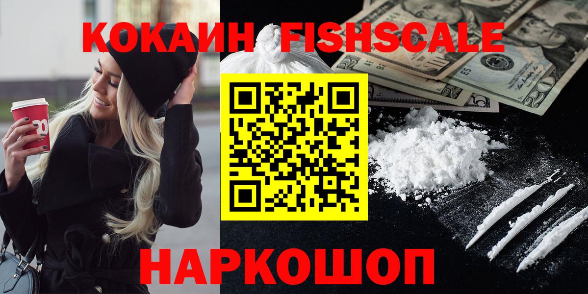 Cocaine FishScale  Вход с VPN  Новозыбков 