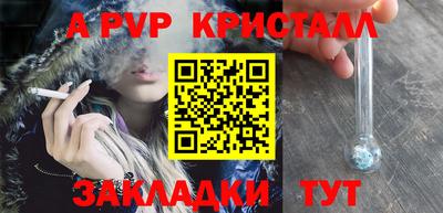 стафф Ставрополь