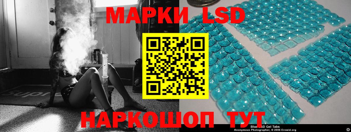 Новозыбков  LSD-25 экстази кислота  Лсд 25 экстази  Лсд 25 экстази кислота  Вход с VPN 