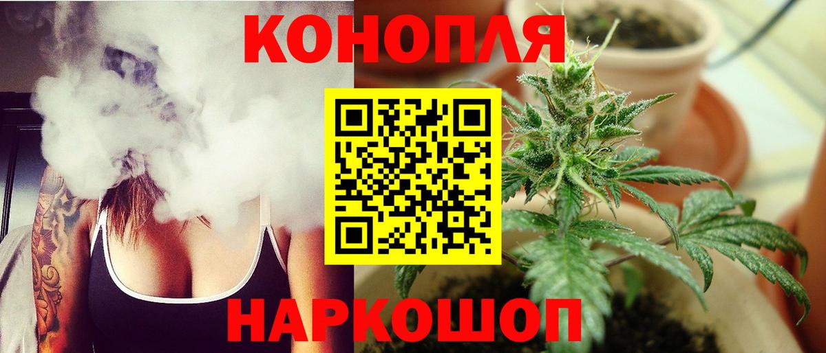 Бошки Шишки тримм  Бошки Шишки сатива  Бошки Шишки план  Вход с VPN  Новозыбков  Канабис ГИДРОПОН 
