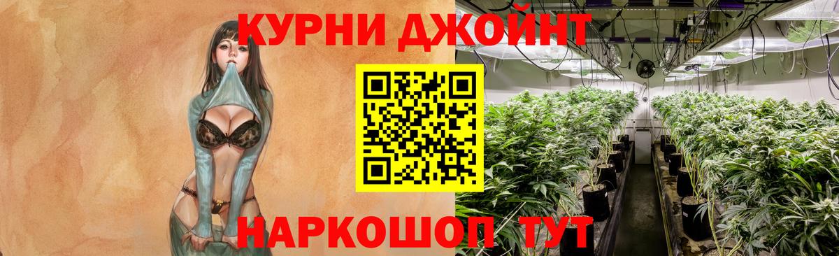 Каннабис гибрид Новозыбков